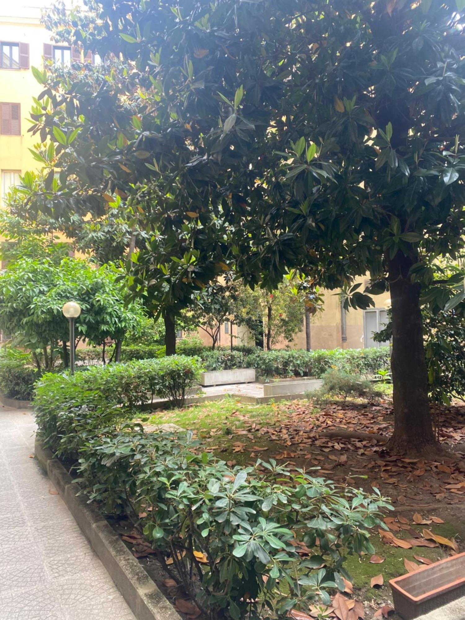 Casa Leone *